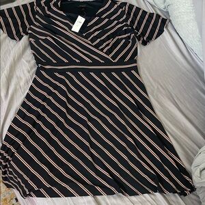Ann Taylor Factory Navy and Pink Striped Mini Dress